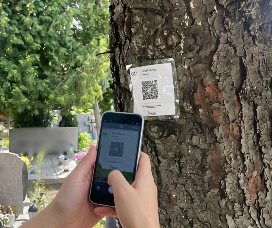Telefon skanujący kod QR na tabliczce umieszczonej na drzewie