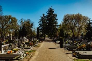 Główna aleja wśród drzew i nagrobków